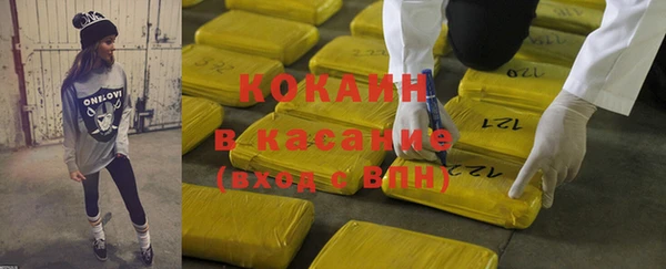 мдпв Богородицк