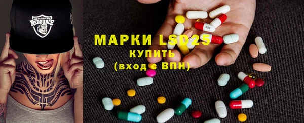 индика Беломорск