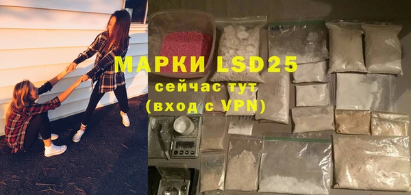 мдпв Богородицк